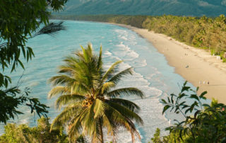 Soothing waves crash on the shore of a tropical beach with palm trees