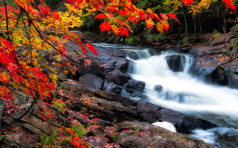 Autumn leaves surrounding a rapid river flowing