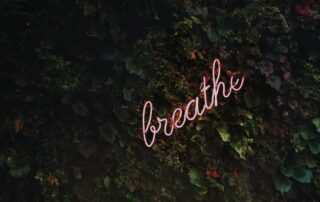 Neon sign that reads 'Breathe' nestled in a bush